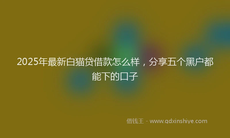 2025年最新白猫贷借款怎么样，分享五个黑户都能下的口子