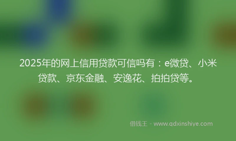 2025年的网上信用贷款可信吗有：e微贷、小米贷款、京东金融、安逸花、拍拍贷等。