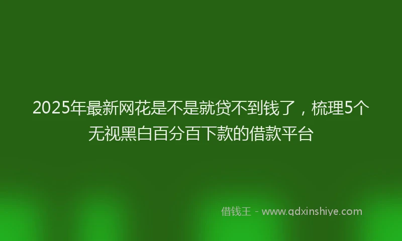 2025年最新网花是不是就贷不到钱了，梳理5个无视黑白百分百下款的借款平台