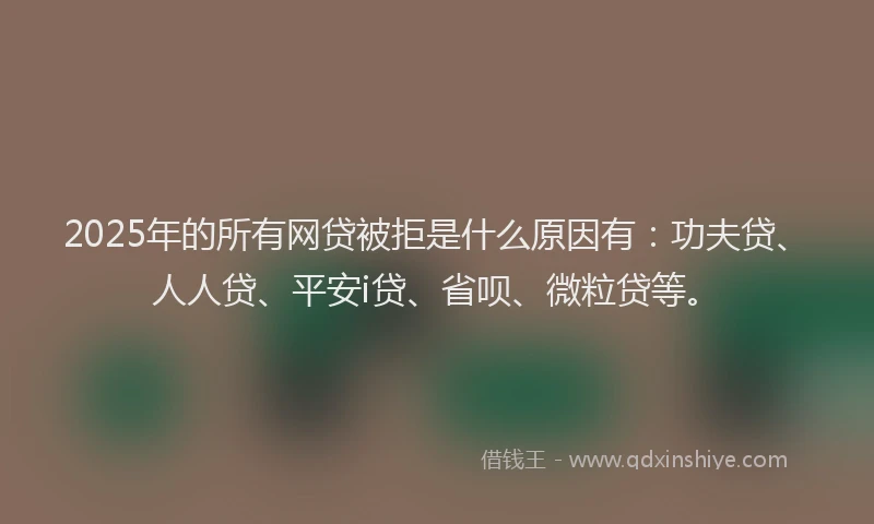 2025年的所有网贷被拒是什么原因有：功夫贷、人人贷、平安i贷、省呗、微粒贷等。