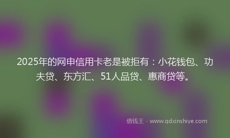 2025年的网申信用卡老是被拒有：小花钱包、功夫贷、东方汇、51人品贷、惠商贷等。