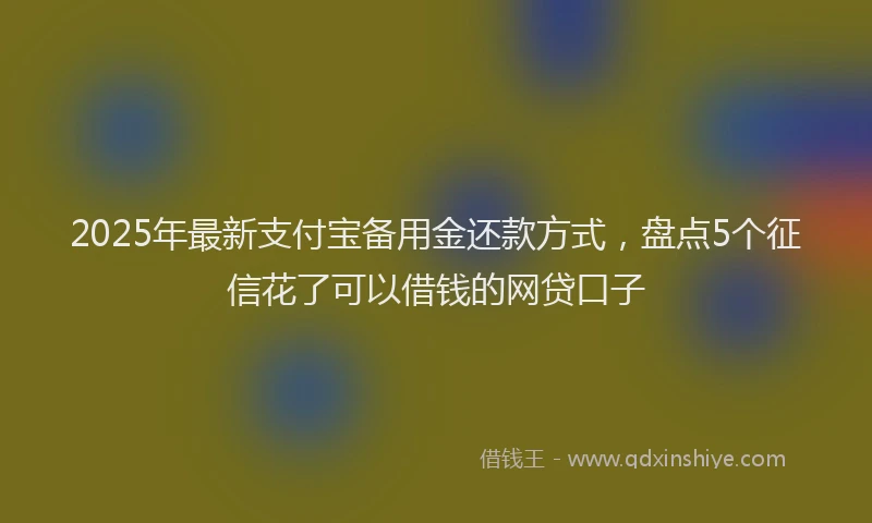 2025年最新支付宝备用金还款方式，盘点5个征信花了可以借钱的网贷口子