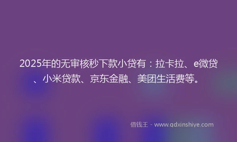2025年的无审核秒下款小贷有：拉卡拉、e微贷、小米贷款、京东金融、美团生活费等。