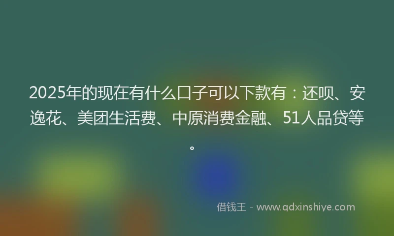 2025年的现在有什么口子可以下款有：还呗、安逸花、美团生活费、中原消费金融、51人品贷等。