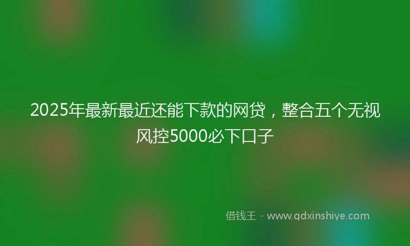 2025年最新最近还能下款的网贷，整合五个无视风控5000必下口子