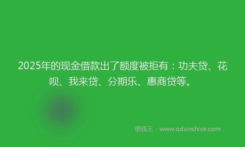 2025年的现金借款出了额度被拒有：功夫贷、花呗、我来贷、分期乐、惠商贷等。