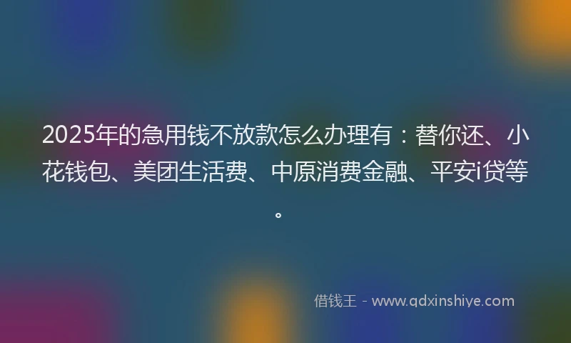 2025年的急用钱不放款怎么办理有：替你还、小花钱包、美团生活费、中原消费金融、平安i贷等。