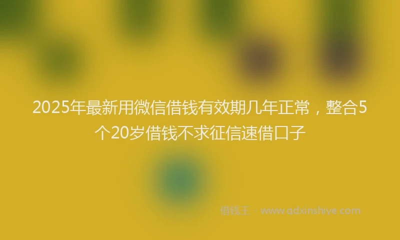2025年最新用微信借钱有效期几年正常，整合5个20岁借钱不求征信速借口子