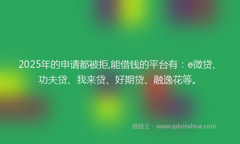 2025年的申请都被拒,能借钱的平台有：e微贷、功夫贷、我来贷、好期贷、融逸花等。