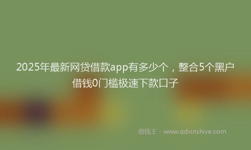 2025年最新网贷借款app有多少个，整合5个黑户借钱0门槛极速下款口子