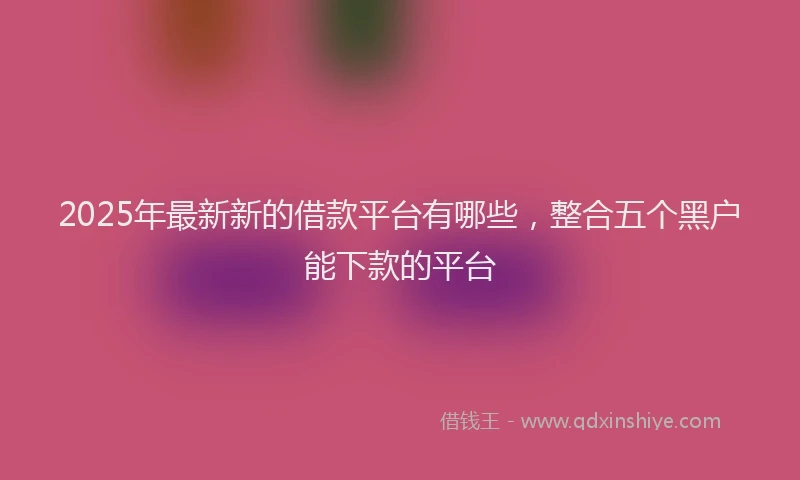2025年最新新的借款平台有哪些，整合五个黑户能下款的平台