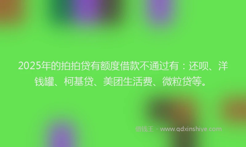2025年的拍拍贷有额度借款不通过有：还呗、洋钱罐、柯基贷、美团生活费、微粒贷等。