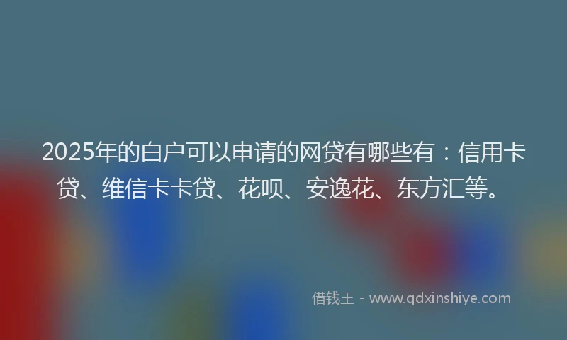 2025年的白户可以申请的网贷有哪些有：信用卡贷、维信卡卡贷、花呗、安逸花、东方汇等。