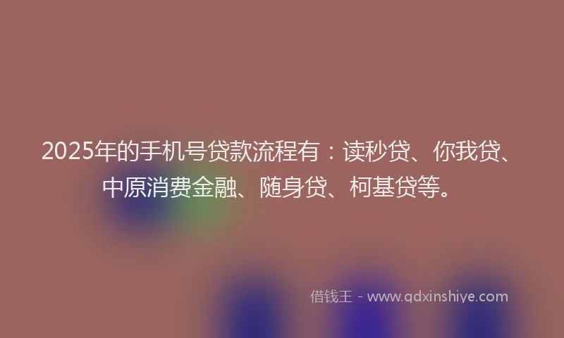 2025年的手机号贷款流程有：读秒贷、你我贷、中原消费金融、随身贷、柯基贷等。
