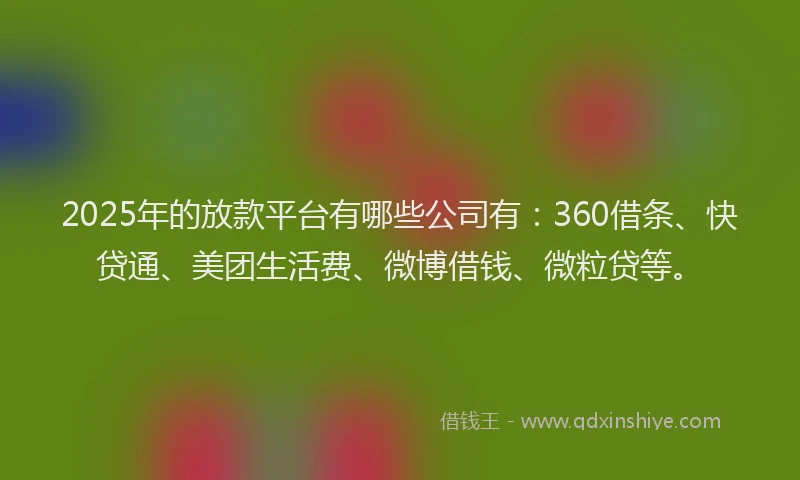 2025年的放款平台有哪些公司有：360借条、快贷通、美团生活费、微博借钱、微粒贷等。