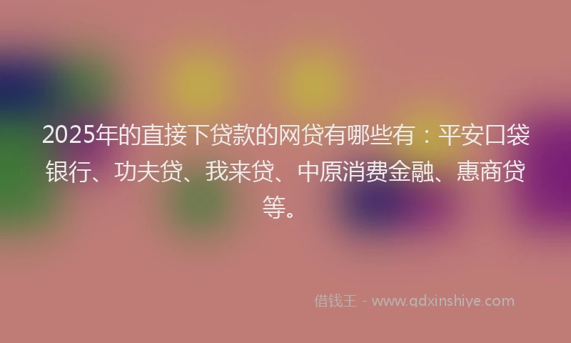2025年的直接下贷款的网贷有哪些有：平安口袋银行、功夫贷、我来贷、中原消费金融、惠商贷等。