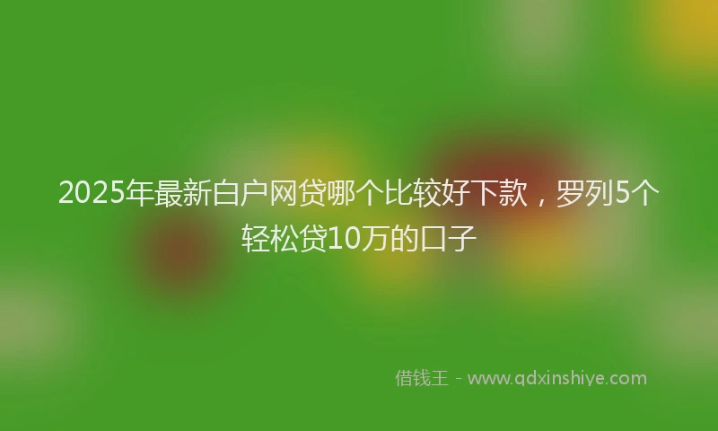 2025年最新白户网贷哪个比较好下款，罗列5个轻松贷10万的口子