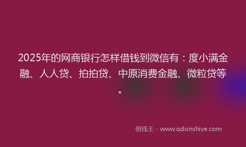 2025年的网商银行怎样借钱到微信有：度小满金融、人人贷、拍拍贷、中原消费金融、微粒贷等。