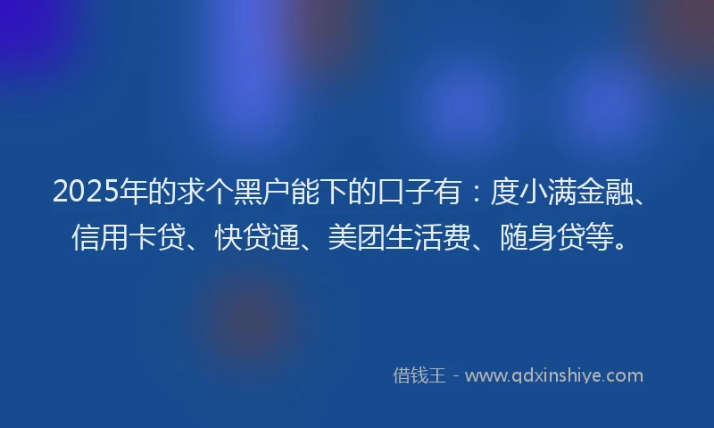 2025年的求个黑户能下的口子有：度小满金融、信用卡贷、快贷通、美团生活费、随身贷等。