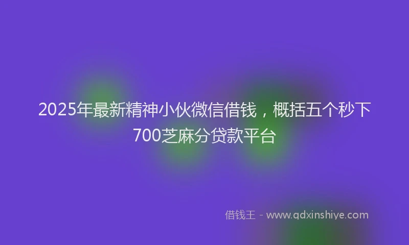 2025年最新精神小伙微信借钱，概括五个秒下700芝麻分贷款平台