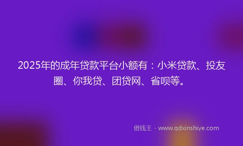 2025年的成年贷款平台小额有：小米贷款、投友圈、你我贷、团贷网、省呗等。