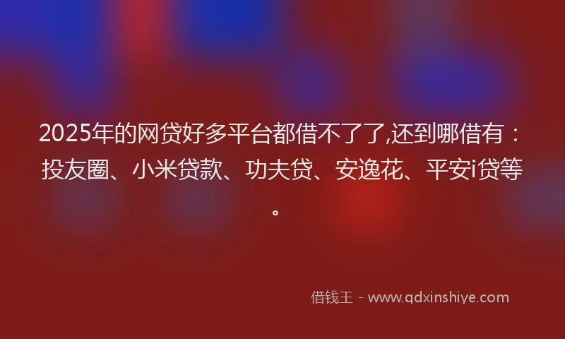 2025年的网贷好多平台都借不了了,还到哪借有：投友圈、小米贷款、功夫贷、安逸花、平安i贷等。