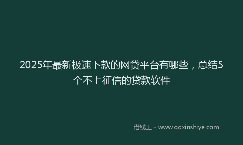 2025年最新极速下款的网贷平台有哪些，总结5个不上征信的贷款软件