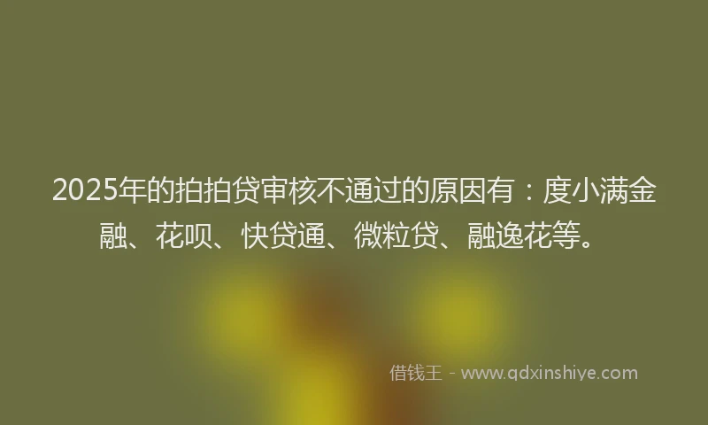 2025年的拍拍贷审核不通过的原因有：度小满金融、花呗、快贷通、微粒贷、融逸花等。