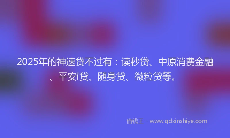 2025年的神速贷不过有：读秒贷、中原消费金融、平安i贷、随身贷、微粒贷等。