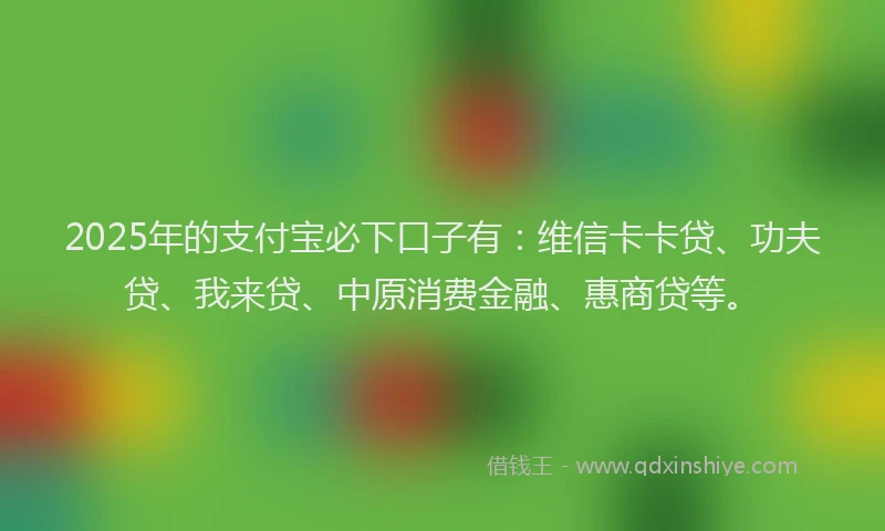 2025年的支付宝必下口子有：维信卡卡贷、功夫贷、我来贷、中原消费金融、惠商贷等。