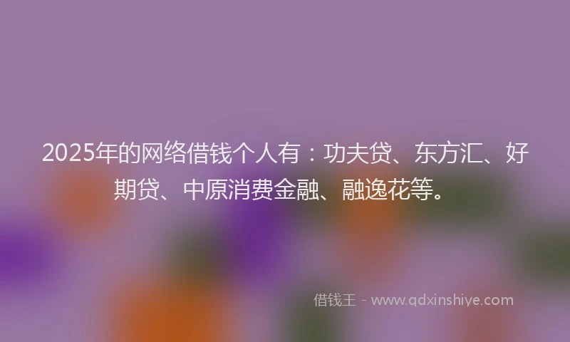 2025年的网络借钱个人有：功夫贷、东方汇、好期贷、中原消费金融、融逸花等。