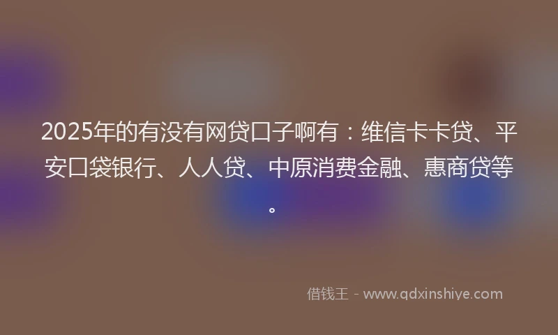 2025年的有没有网贷口子啊有：维信卡卡贷、平安口袋银行、人人贷、中原消费金融、惠商贷等。