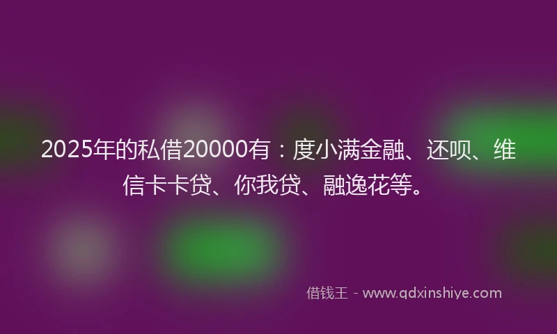 2025年的私借20000有：度小满金融、还呗、维信卡卡贷、你我贷、融逸花等。
