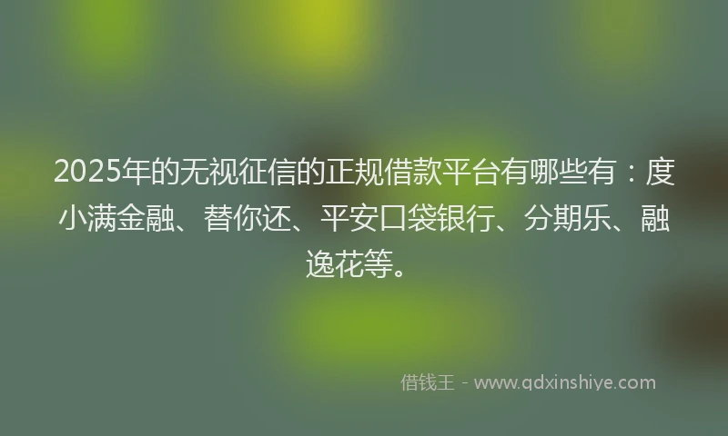 2025年的无视征信的正规借款平台有哪些有：度小满金融、替你还、平安口袋银行、分期乐、融逸花等。