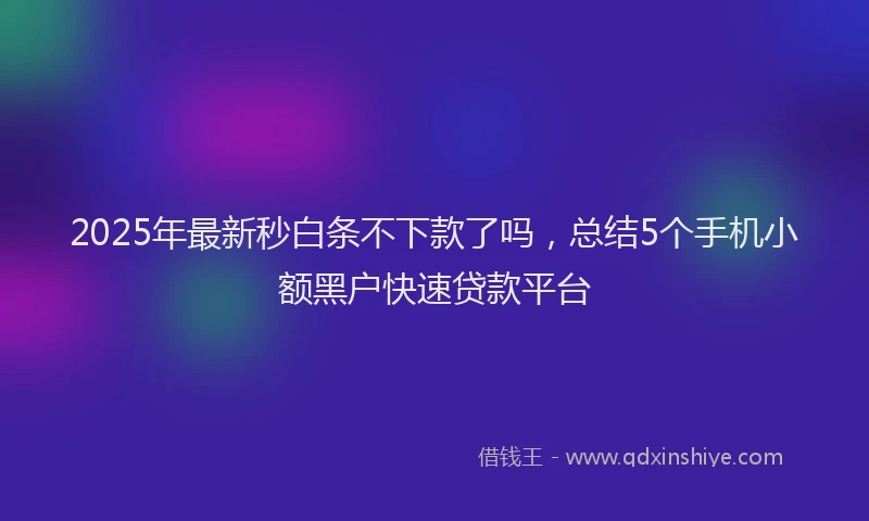 2025年最新秒白条不下款了吗，总结5个手机小额黑户快速贷款平台