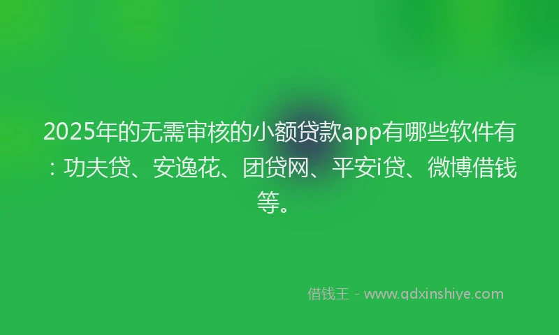 2025年的无需审核的小额贷款app有哪些软件有：功夫贷、安逸花、团贷网、平安i贷、微博借钱等。