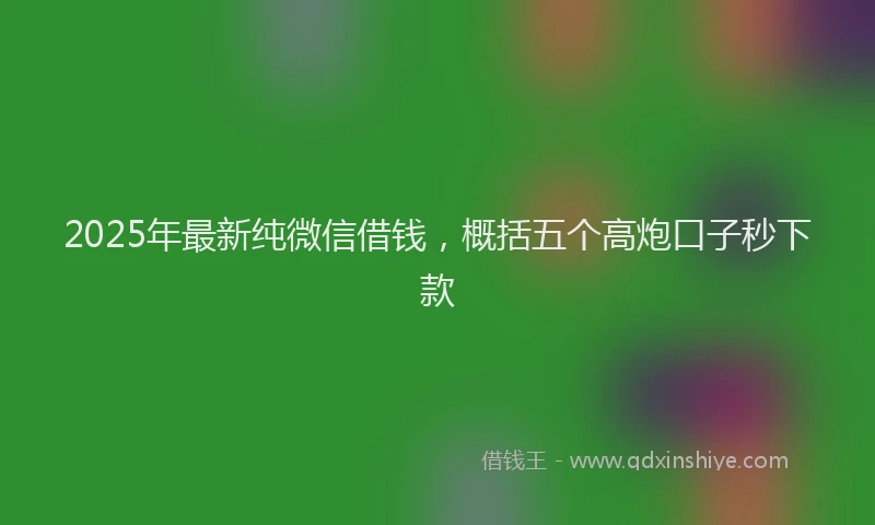 2025年最新纯微信借钱，概括五个高炮口子秒下款