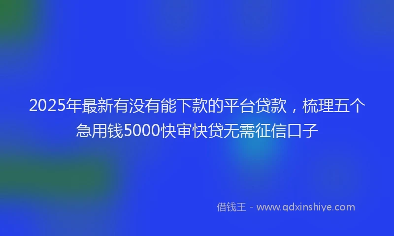 2025年最新有没有能下款的平台贷款，梳理五个急用钱5000快审快贷无需征信口子