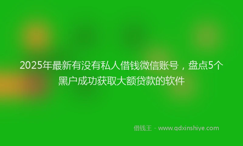 2025年最新有没有私人借钱微信账号，盘点5个黑户成功获取大额贷款的软件