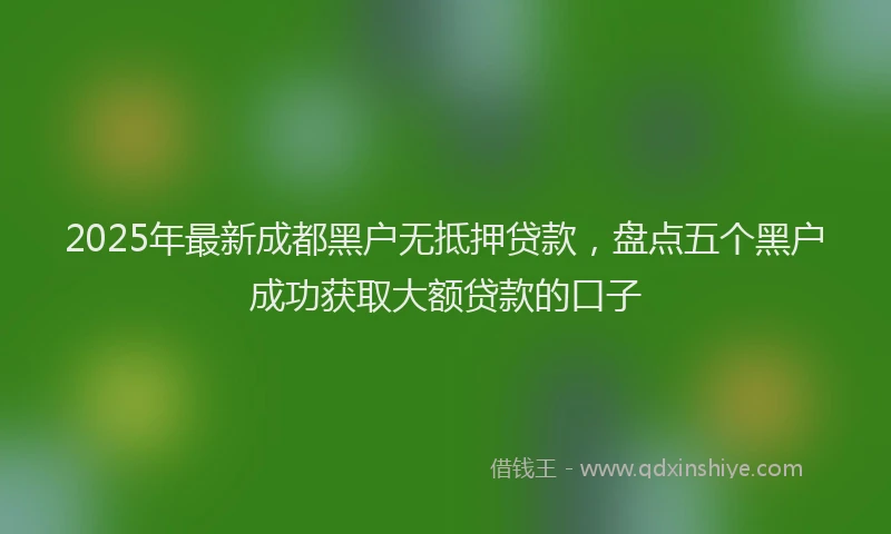 2025年最新成都黑户无抵押贷款，盘点五个黑户成功获取大额贷款的口子