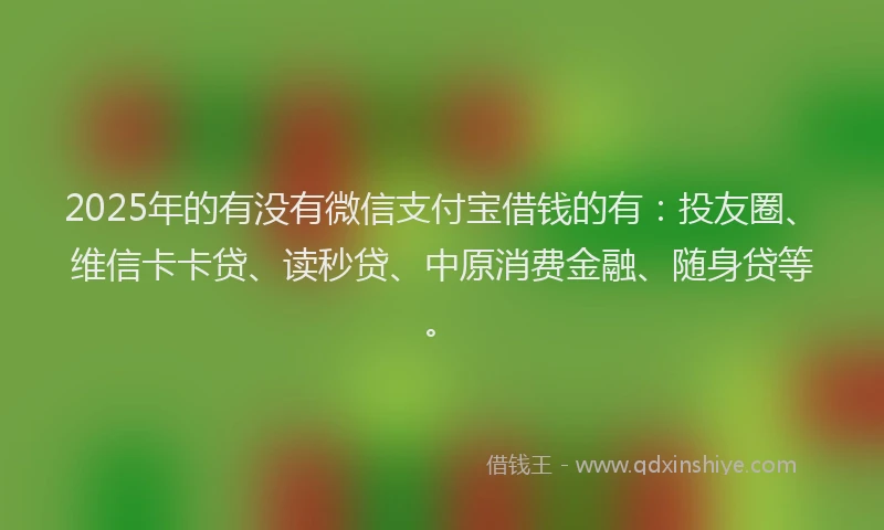 2025年的有没有微信支付宝借钱的有：投友圈、维信卡卡贷、读秒贷、中原消费金融、随身贷等。