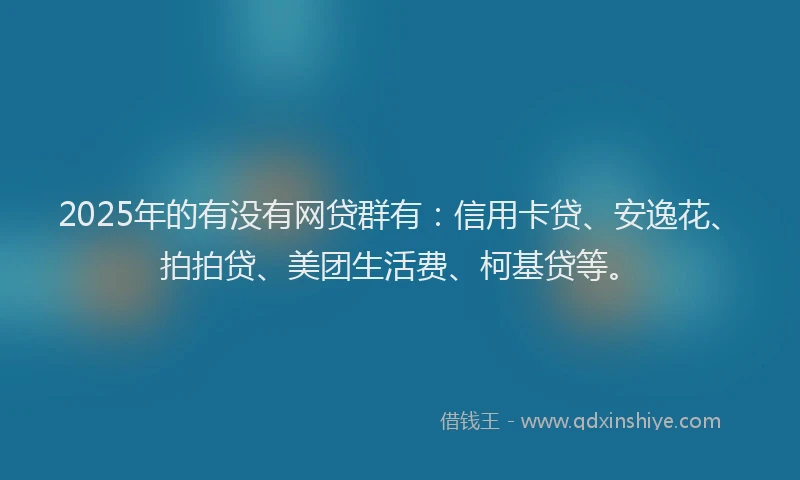2025年的有没有网贷群有：信用卡贷、安逸花、拍拍贷、美团生活费、柯基贷等。