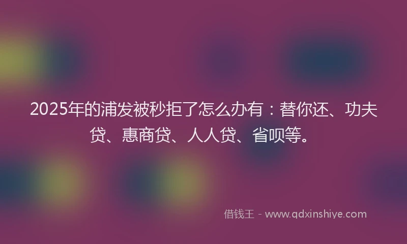 2025年的浦发被秒拒了怎么办有：替你还、功夫贷、惠商贷、人人贷、省呗等。