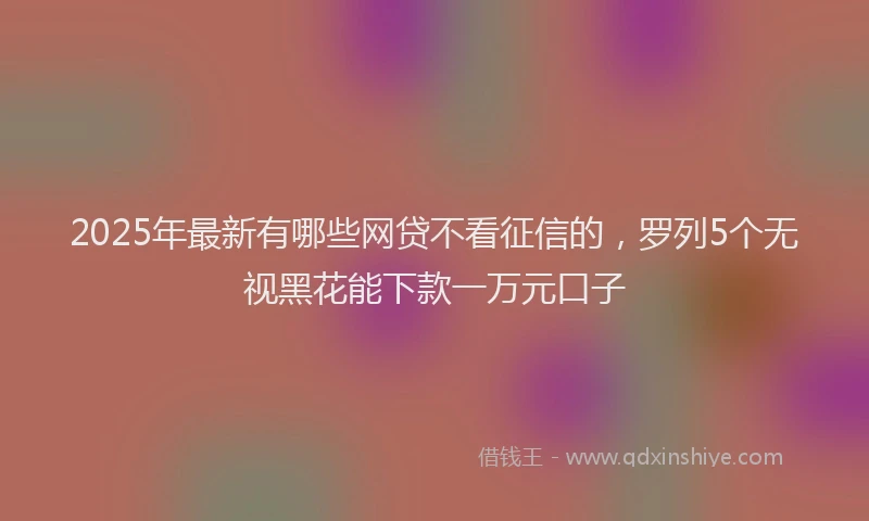 2025年最新有哪些网贷不看征信的，罗列5个无视黑花能下款一万元口子