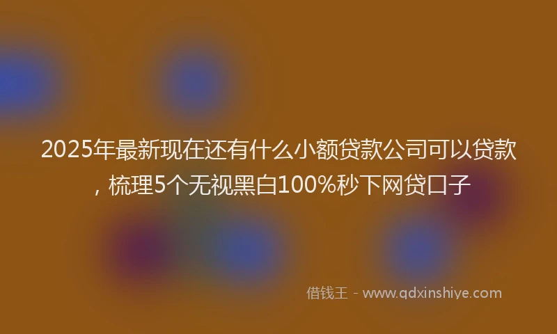 2025年最新现在还有什么小额贷款公司可以贷款，梳理5个无视黑白100%秒下网贷口子