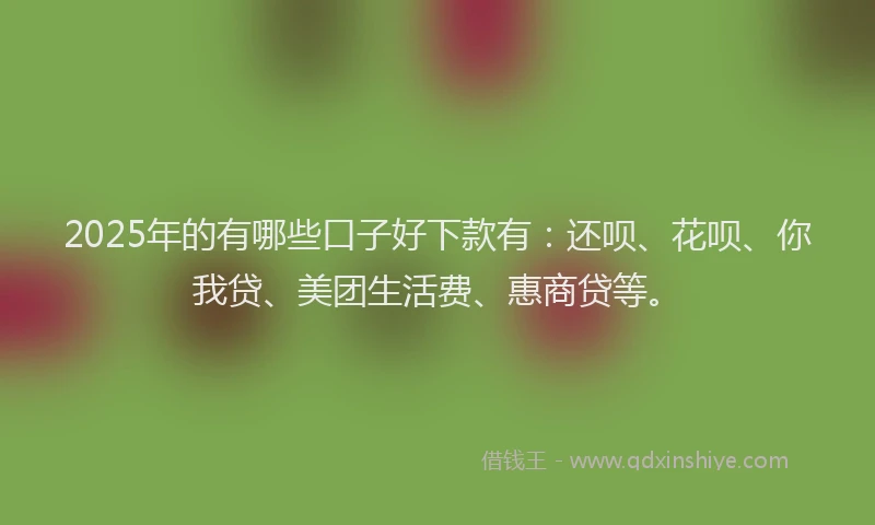 2025年的有哪些口子好下款有：还呗、花呗、你我贷、美团生活费、惠商贷等。