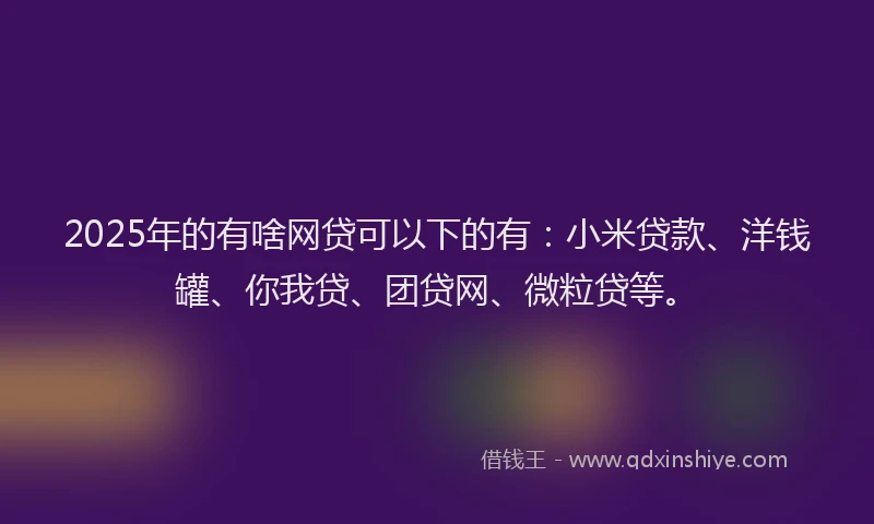 2025年的有啥网贷可以下的有：小米贷款、洋钱罐、你我贷、团贷网、微粒贷等。