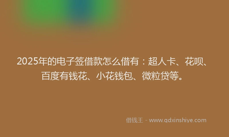 2025年的电子签借款怎么借有：超人卡、花呗、百度有钱花、小花钱包、微粒贷等。