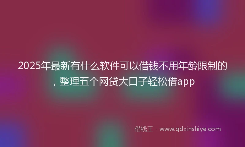 2025年最新有什么软件可以借钱不用年龄限制的，整理五个网贷大口子轻松借app