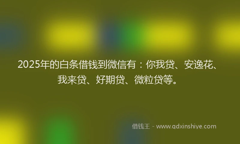 2025年的白条借钱到微信有：你我贷、安逸花、我来贷、好期贷、微粒贷等。